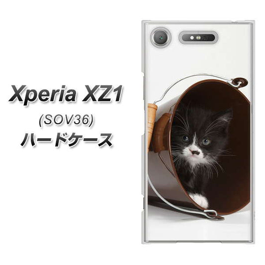 au エクスペリア XZ1 SOV36 高画質仕上げ 背面印刷 ハードケース【VA800 ネコとバケツ】