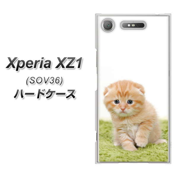 au エクスペリア XZ1 SOV36 高画質仕上げ 背面印刷 ハードケース【VA802 ネコこっそり】