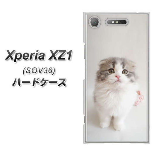 au エクスペリア XZ1 SOV36 高画質仕上げ 背面印刷 ハードケース【VA803 まっていますネコ】