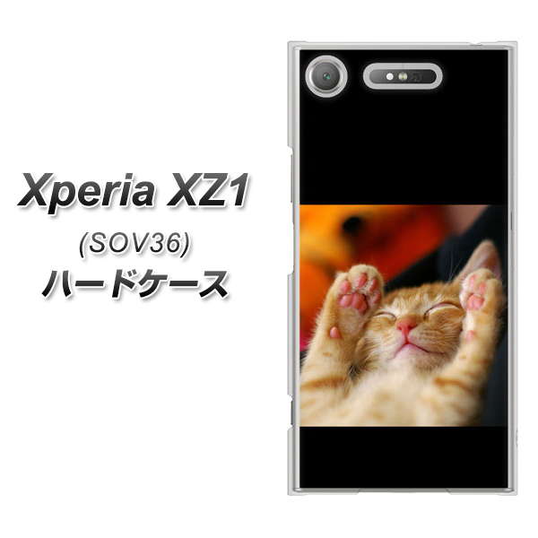 au エクスペリア XZ1 SOV36 高画質仕上げ 背面印刷 ハードケース【VA804 爆睡するネコ】