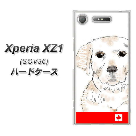 au エクスペリア XZ1 SOV36 高画質仕上げ 背面印刷 ハードケース【YD821 ラブラドールレトリバー02】