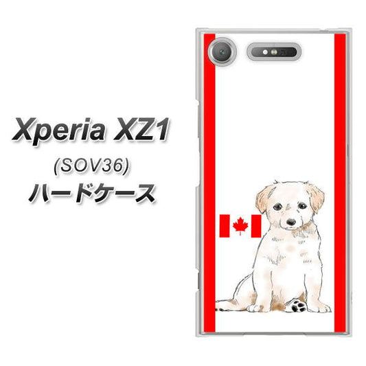 au エクスペリア XZ1 SOV36 高画質仕上げ 背面印刷 ハードケース【YD824 ラブラドールレトリバー05】