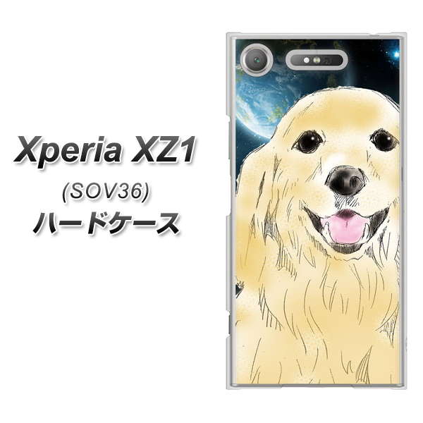 au エクスペリア XZ1 SOV36 高画質仕上げ 背面印刷 ハードケース【YD826 ゴールデンレトリバー02】