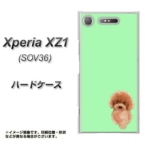 au エクスペリア XZ1 SOV36 高画質仕上げ 背面印刷 ハードケース【YJ052 トイプードルレッド( グリーン)】