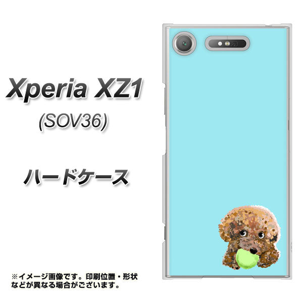 au エクスペリア XZ1 SOV36 高画質仕上げ 背面印刷 ハードケース【YJ054 トイプードル&ボール(ブルー)】