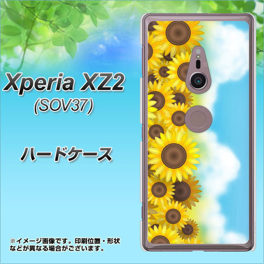 au エクスペリア XZ2 SOV37 高画質仕上げ 背面印刷 ハードケース【148 ひまわり畑】