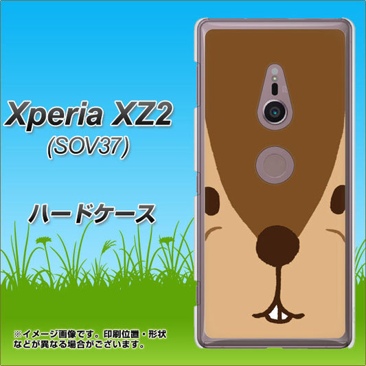 au エクスペリア XZ2 SOV37 高画質仕上げ 背面印刷 ハードケース【349 りす】