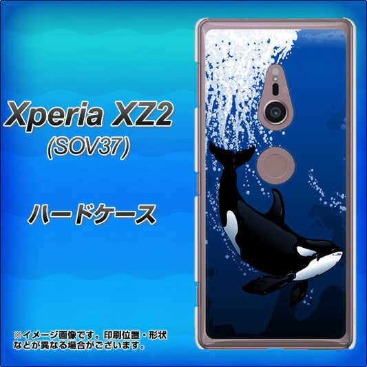 au エクスペリア XZ2 SOV37 高画質仕上げ 背面印刷 ハードケース【423 シャチ】