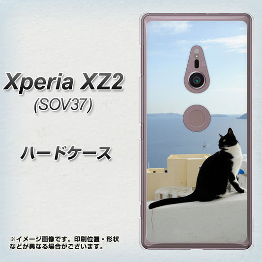 au エクスペリア XZ2 SOV37 高画質仕上げ 背面印刷 ハードケース【VA805 ネコと地中海】