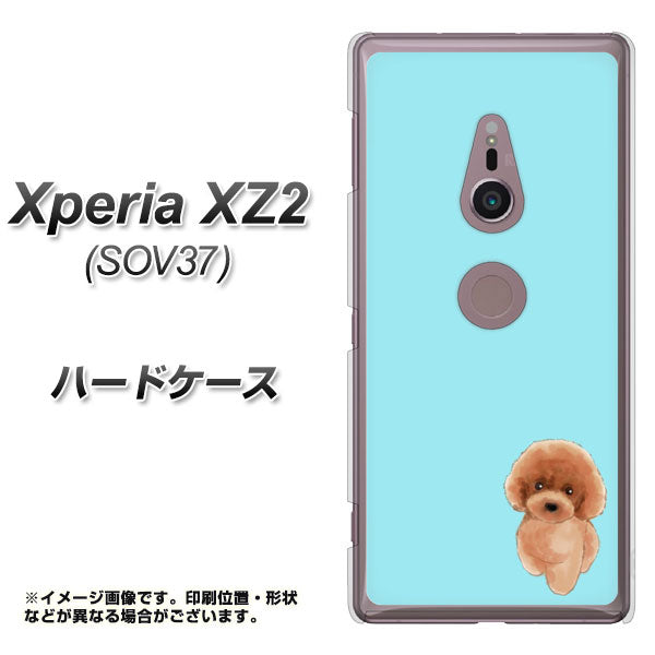 au エクスペリア XZ2 SOV37 高画質仕上げ 背面印刷 ハードケース【YJ050 トイプードルレッド(ブルー)】