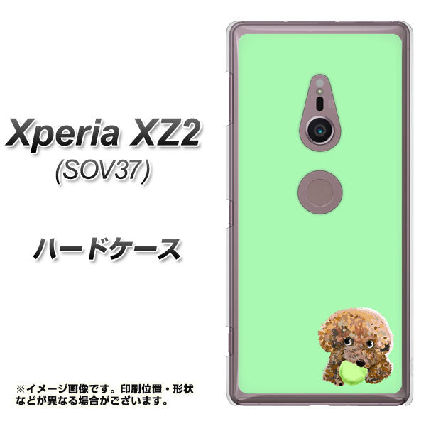 au エクスペリア XZ2 SOV37 高画質仕上げ 背面印刷 ハードケース【YJ055 トイプードル&ボール(グリーン)】