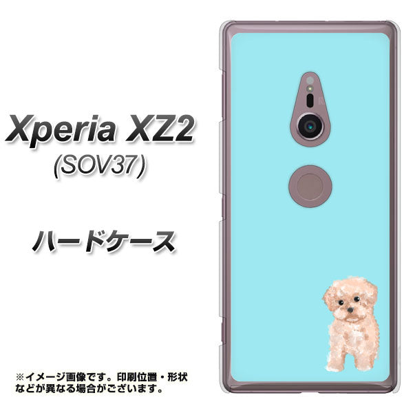 au エクスペリア XZ2 SOV37 高画質仕上げ 背面印刷 ハードケース【YJ062 トイプードルアプリコット(ブルー)】