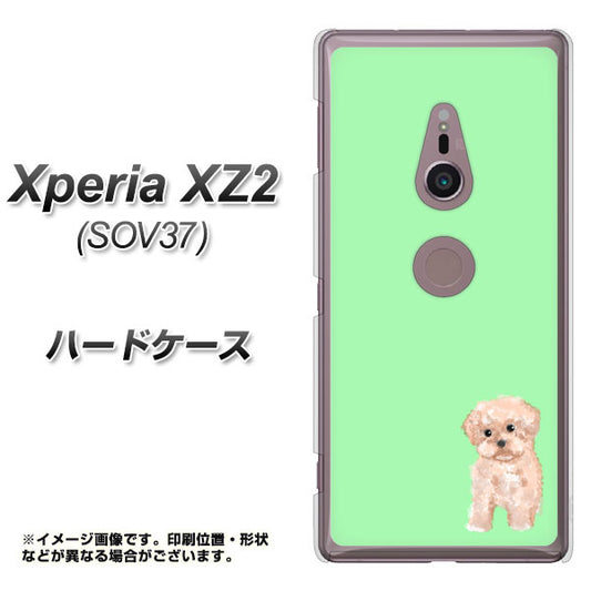 au エクスペリア XZ2 SOV37 高画質仕上げ 背面印刷 ハードケース【YJ063 トイプードルアプリコット（グリーン）】