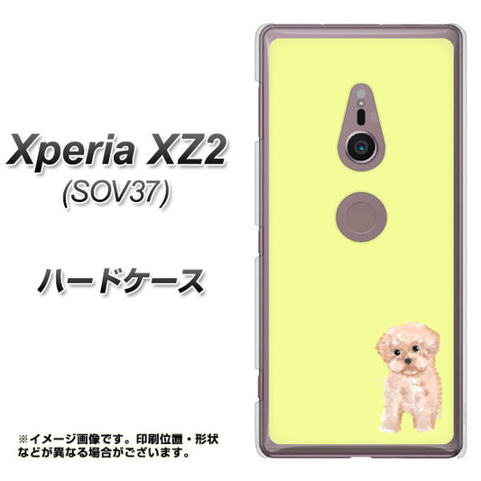 au エクスペリア XZ2 SOV37 高画質仕上げ 背面印刷 ハードケース【YJ064 トイプードルアプリコット（イエロー）】