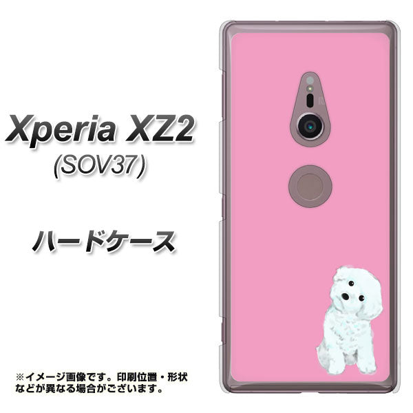 au エクスペリア XZ2 SOV37 高画質仕上げ 背面印刷 ハードケース【YJ069 トイプードルホワイト(ピンク)】