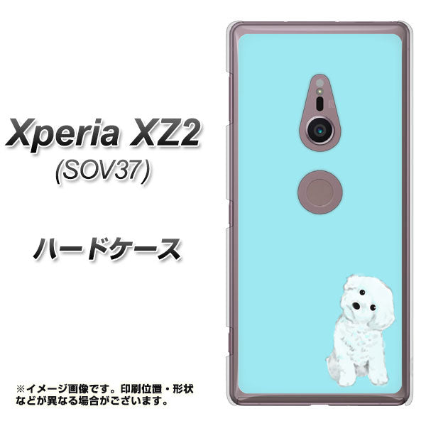 au エクスペリア XZ2 SOV37 高画質仕上げ 背面印刷 ハードケース【YJ070 トイプードルホワイト(ブルー)】