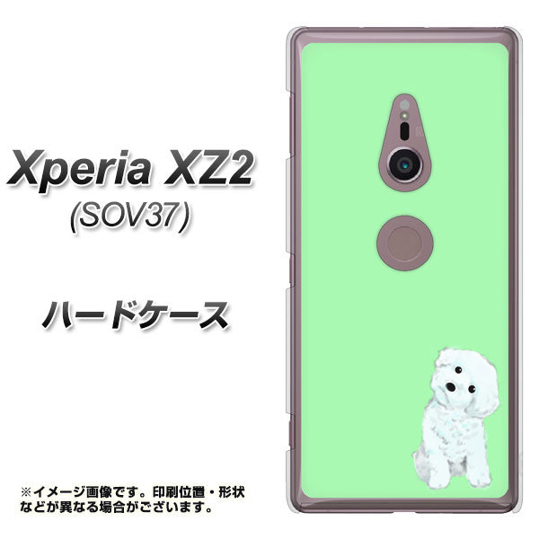 au エクスペリア XZ2 SOV37 高画質仕上げ 背面印刷 ハードケース【YJ071 トイプードルホワイト(グリーン)】