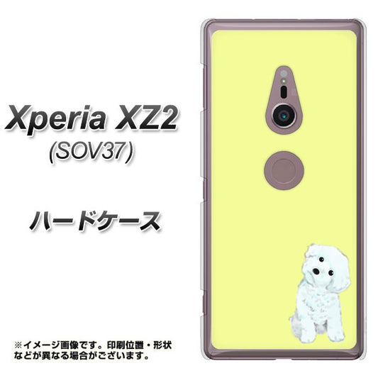 au エクスペリア XZ2 SOV37 高画質仕上げ 背面印刷 ハードケース【YJ072 トイプードルホワイト（イエロー）】