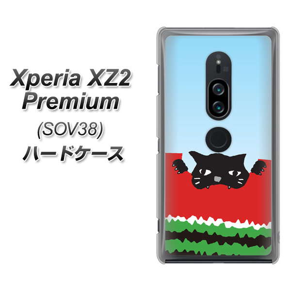au エクスペリア XZ2 プレミアム SOV38 高画質仕上げ 背面印刷 ハードケース【IA815 すいかをかじるネコ(大)】