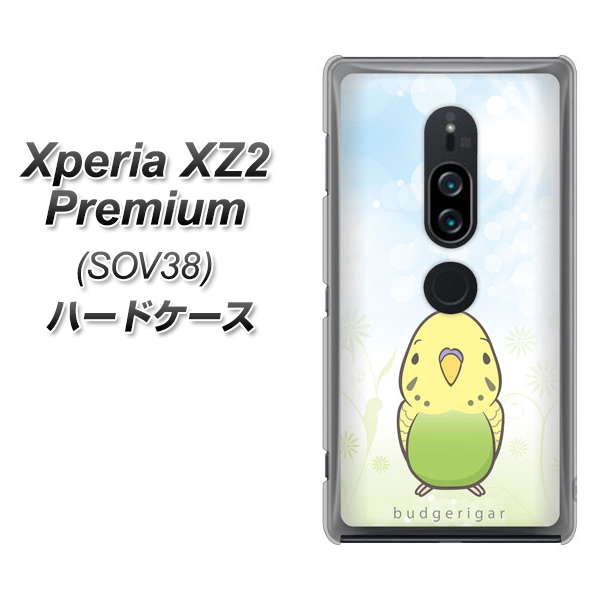 au エクスペリア XZ2 プレミアム SOV38 高画質仕上げ 背面印刷 ハードケース【SC838 セキセイインコ グリーン】