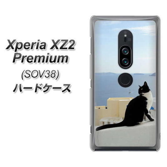au エクスペリア XZ2 プレミアム SOV38 高画質仕上げ 背面印刷 ハードケース【VA805 ネコと地中海】
