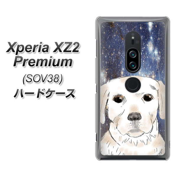 au エクスペリア XZ2 プレミアム SOV38 高画質仕上げ 背面印刷 ハードケース【YD820 ラブラドールレトリバー01】
