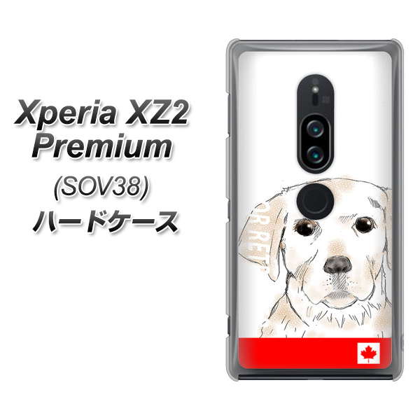 au エクスペリア XZ2 プレミアム SOV38 高画質仕上げ 背面印刷 ハードケース【YD821 ラブラドールレトリバー02】