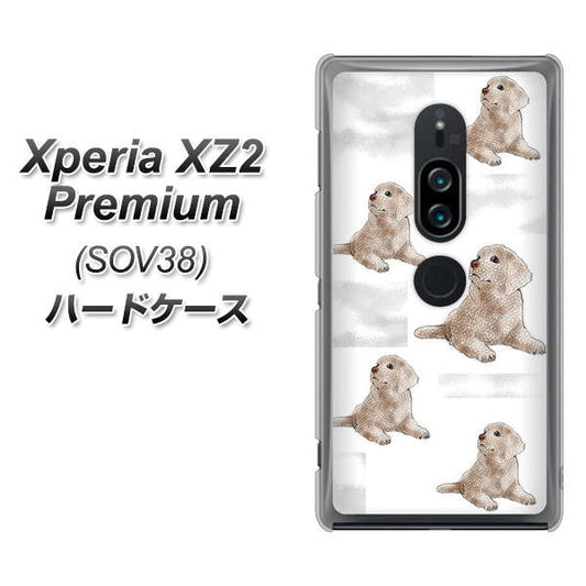 au エクスペリア XZ2 プレミアム SOV38 高画質仕上げ 背面印刷 ハードケース【YD823 ラブラドールレトリバー04】