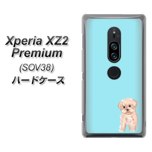 au エクスペリア XZ2 プレミアム SOV38 高画質仕上げ 背面印刷 ハードケース【YJ062 トイプードルアプリコット(ブルー)】