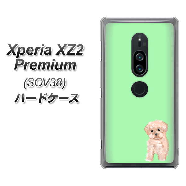 au エクスペリア XZ2 プレミアム SOV38 高画質仕上げ 背面印刷 ハードケース【YJ063 トイプードルアプリコット(グリーン)】