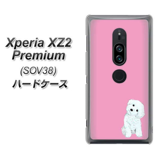 au エクスペリア XZ2 プレミアム SOV38 高画質仕上げ 背面印刷 ハードケース【YJ069 トイプードルホワイト（ピンク）】