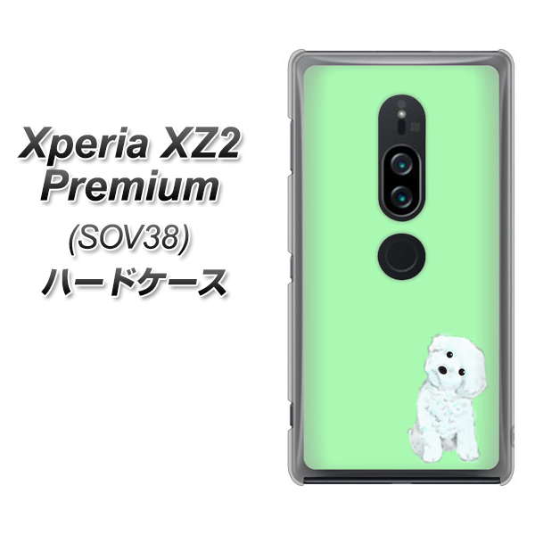au エクスペリア XZ2 プレミアム SOV38 高画質仕上げ 背面印刷 ハードケース【YJ071 トイプードルホワイト(グリーン)】