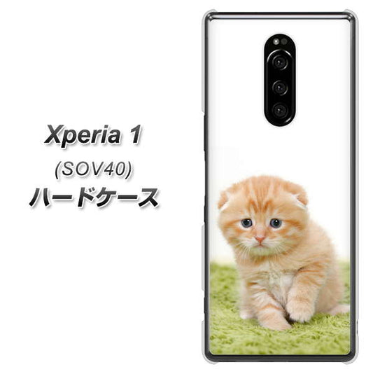 au エクスぺリア ワン SOV40 高画質仕上げ 背面印刷 ハードケース【VA802 ネコこっそり】