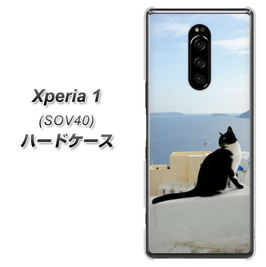 au エクスぺリア ワン SOV40 高画質仕上げ 背面印刷 ハードケース【VA805 ネコと地中海】