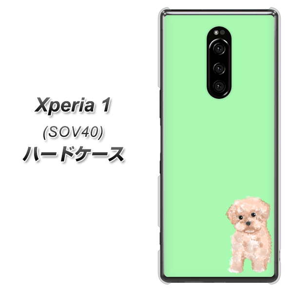 au エクスぺリア ワン SOV40 高画質仕上げ 背面印刷 ハードケース【YJ063 トイプードルアプリコット(グリーン)】