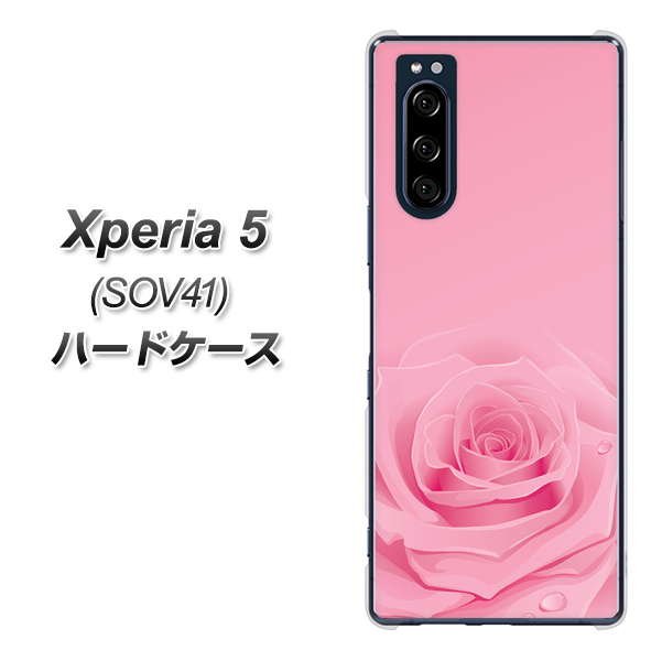au エクスペリア5 SOV41 高画質仕上げ 背面印刷 ハードケース【401 ピンクのバラ】