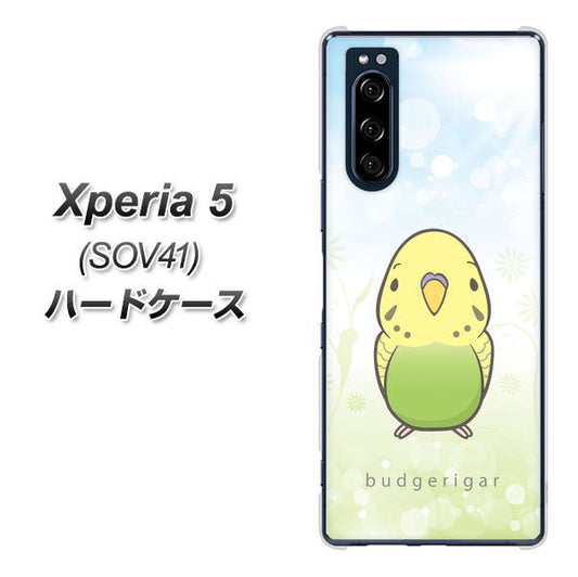 au エクスペリア5 SOV41 高画質仕上げ 背面印刷 ハードケース【SC838 セキセイインコ グリーン】