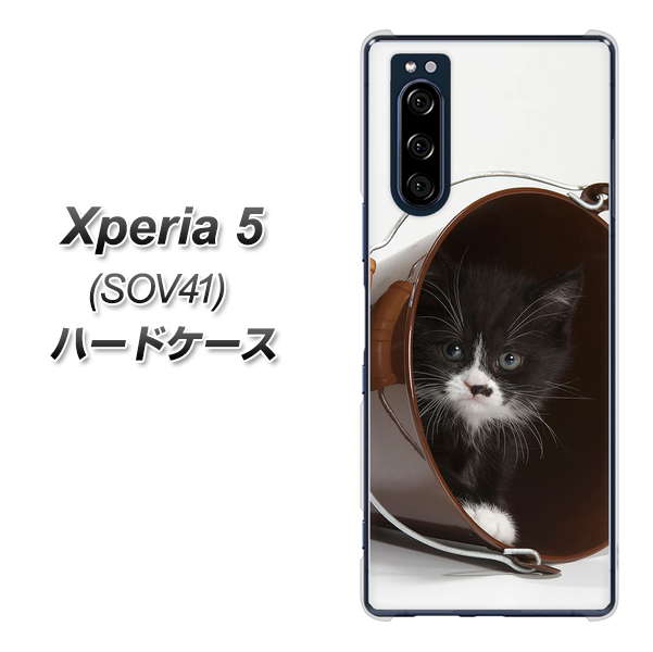 au エクスペリア5 SOV41 高画質仕上げ 背面印刷 ハードケース【VA800 ネコとバケツ】