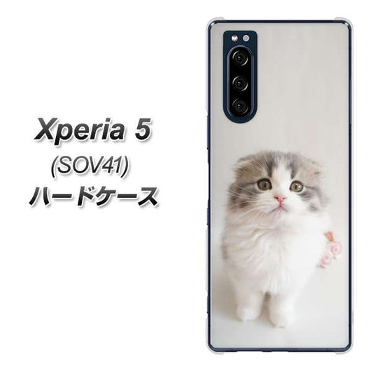au エクスペリア5 SOV41 高画質仕上げ 背面印刷 ハードケース【VA803 まっていますネコ】