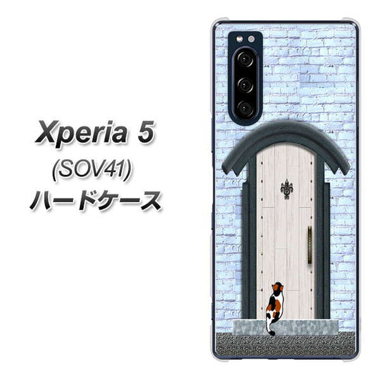 au エクスペリア5 SOV41 高画質仕上げ 背面印刷 ハードケース【YA951 石ドア01】