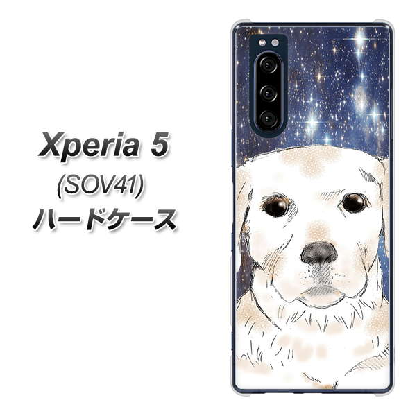 au エクスペリア5 SOV41 高画質仕上げ 背面印刷 ハードケース【YD820 ラブラドールレトリバー01】