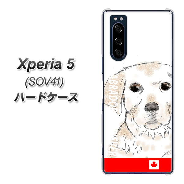 au エクスペリア5 SOV41 高画質仕上げ 背面印刷 ハードケース【YD821 ラブラドールレトリバー02】