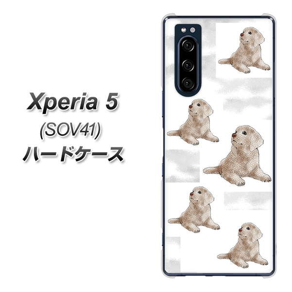 au エクスペリア5 SOV41 高画質仕上げ 背面印刷 ハードケース【YD823 ラブラドールレトリバー04】