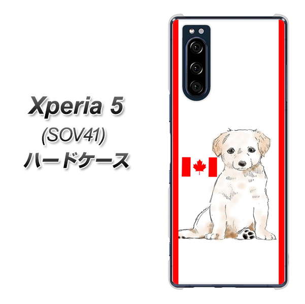 au エクスペリア5 SOV41 高画質仕上げ 背面印刷 ハードケース【YD824 ラブラドールレトリバー05】