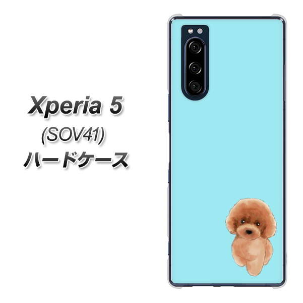 au エクスペリア5 SOV41 高画質仕上げ 背面印刷 ハードケース【YJ050 トイプードルレッド(ブルー)】