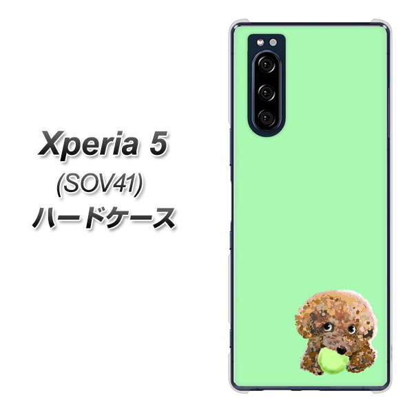 au エクスペリア5 SOV41 高画質仕上げ 背面印刷 ハードケース【YJ055 トイプードル&ボール(グリーン)】