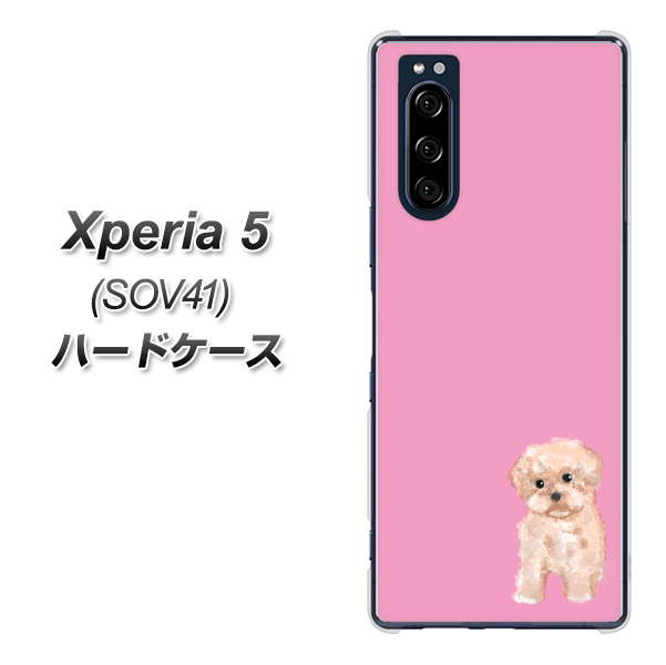 au エクスペリア5 SOV41 高画質仕上げ 背面印刷 ハードケース【YJ061 トイプードルアプリコット(ピンク)】