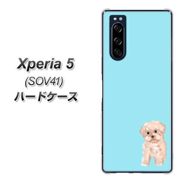 au エクスペリア5 SOV41 高画質仕上げ 背面印刷 ハードケース【YJ062 トイプードルアプリコット(ブルー)】