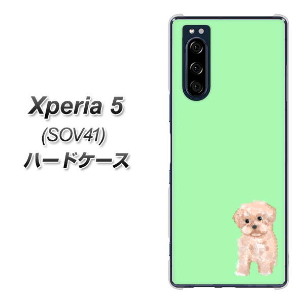 au エクスペリア5 SOV41 高画質仕上げ 背面印刷 ハードケース【YJ063 トイプードルアプリコット(グリーン)】