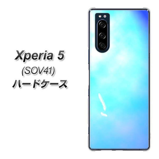 au エクスペリア5 SOV41 高画質仕上げ 背面印刷 ハードケース【YJ291 デザイン 光】